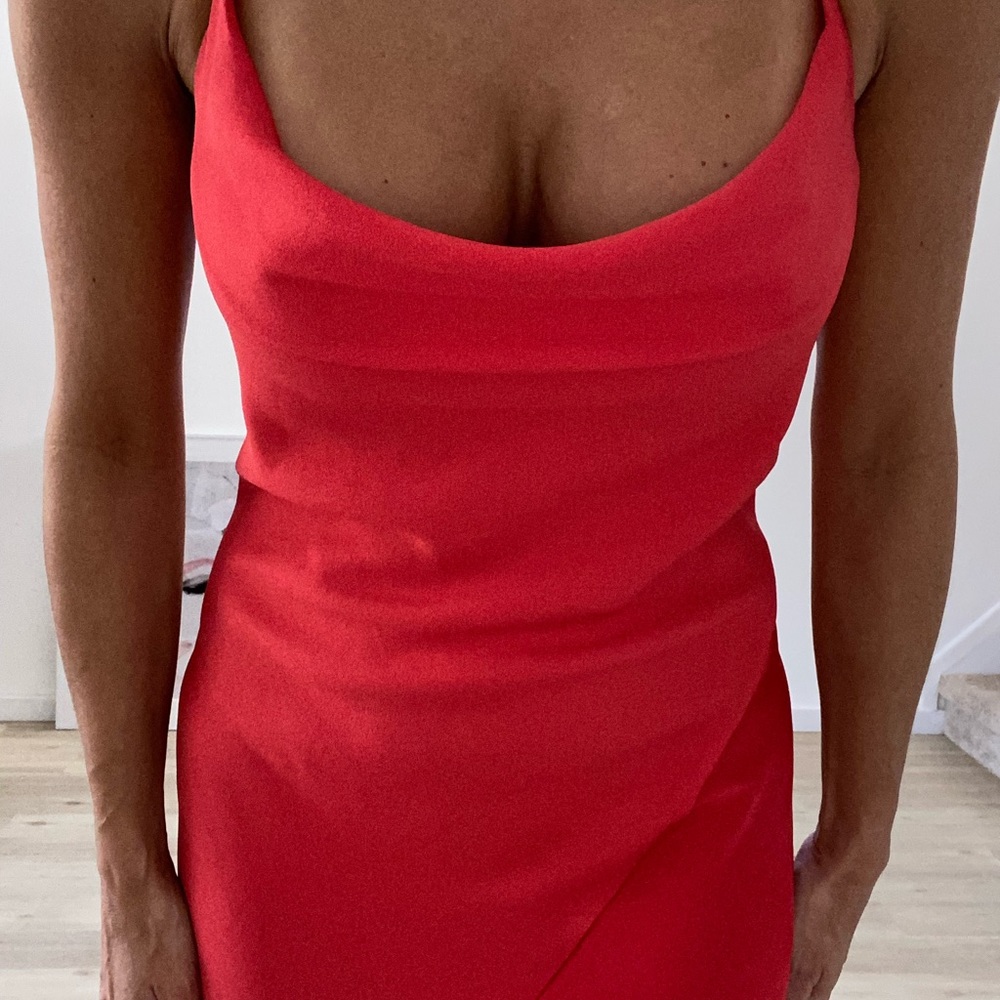 Cushnie x Target Dress